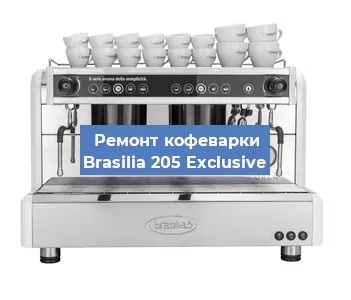 Чистка кофемашины Brasilia 205 Exclusive от кофейных масел в Москве